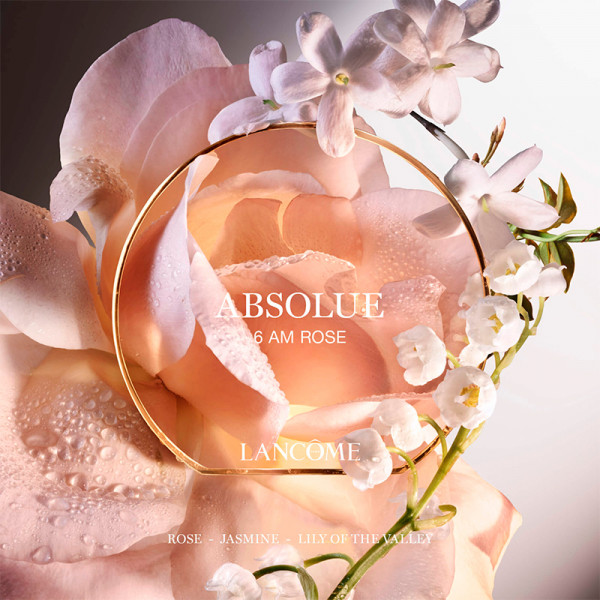 Absolue 6am Rose