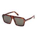 Lunettes de soleil Ft1176