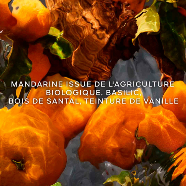 mandarine-basilic-forte-set