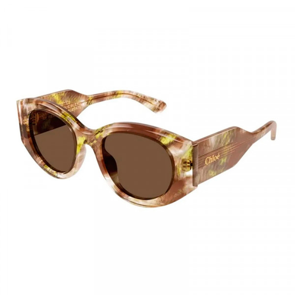 sunglasses-ch0251s