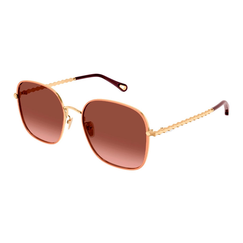 Chloe Women's Gold/Brown Sunglasses For Sunglasses Ch0255sk