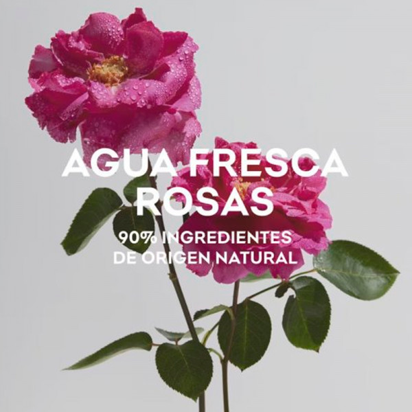 agua-fresca-de-rosas