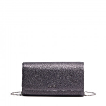 wallet-with-chain