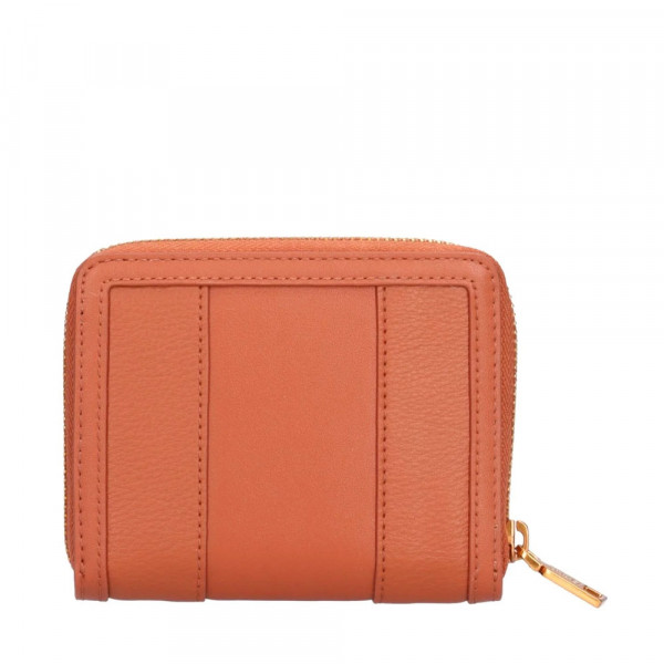 cartera-aa4034-e0031