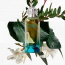 un-jardin-en-mediterranee
