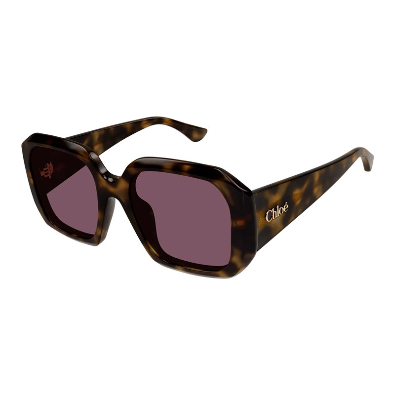 Chloe Sunglasses Óculos de sol para mulheres Sunglasses Ch0300S