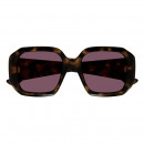sunglasses-ch0300s