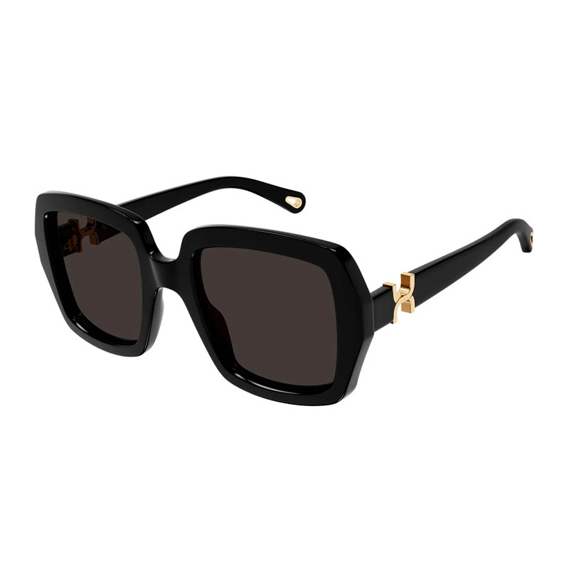 Chloe Sunglasses Óculos de sol para mulheres Recycled Sunglasses Ch0301S