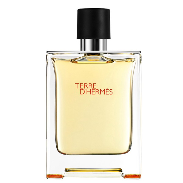 Hermès Terre D'Hermes Pour Homme - 100 ML Eau de toilette Profumi da Uomo