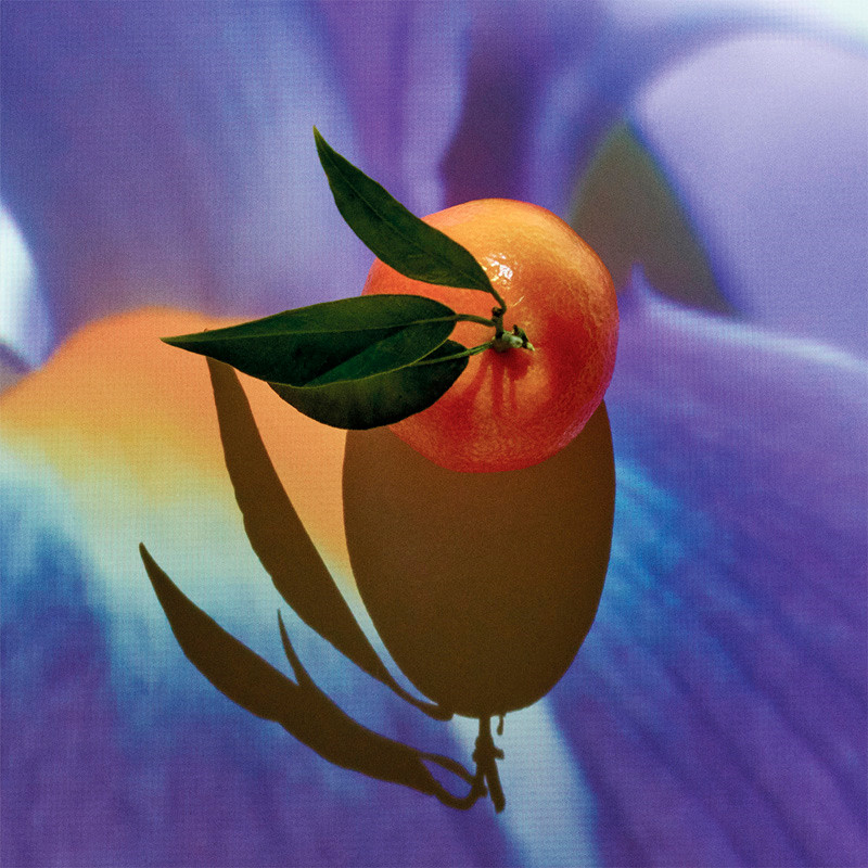 Loewe Solo Elixir Eau de Parfum – imagen 2