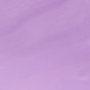 do-you-lilac-it-nlb29