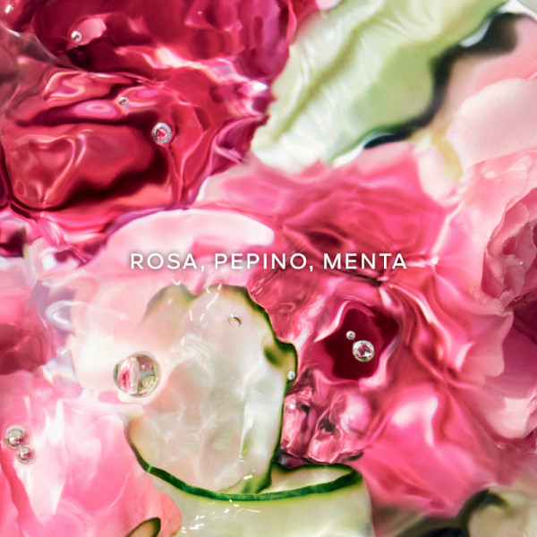 aqua-allegoria-rosa-verde