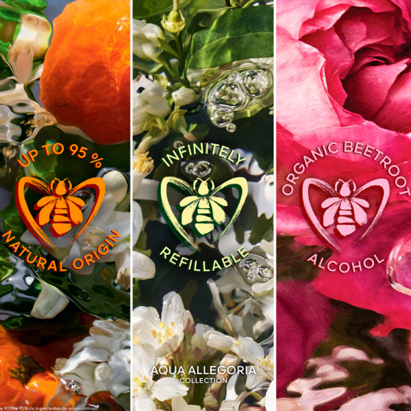 aqua-allegoria-rosa-verde aqua-allegoria-rosa-verde