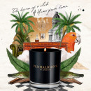 foglia-di-maduro-candela-aromatica
