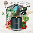 roanoke-ivy-bougie-aromatique