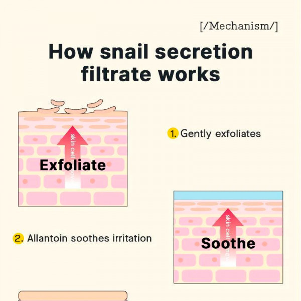 caracol-avancado-96-mucin-power-essence-tratamento-regenerativo-anti-rugas