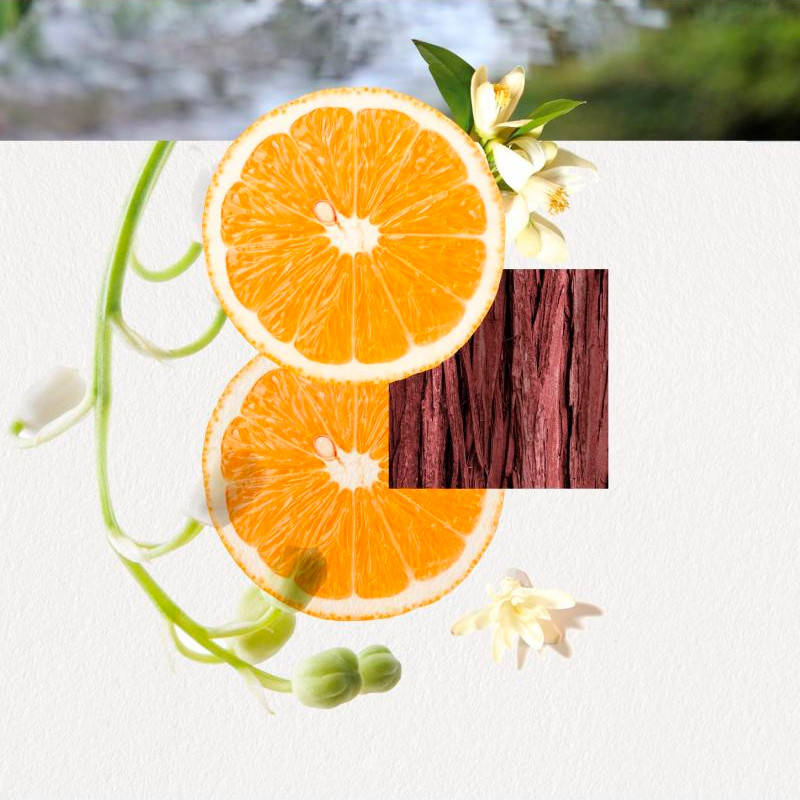 Annayake Omizu for Her Eau de Parfum – imagen 2
