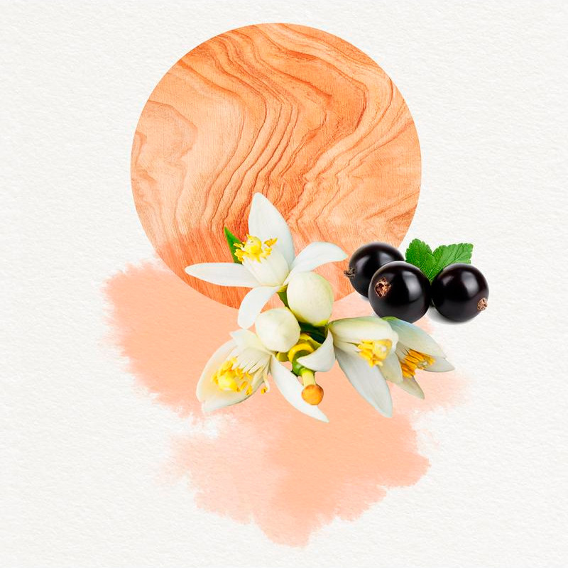 Annayake Dojou for Her Eau de Parfum – imagen 2