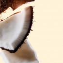 bronzing-powder-poudres-bronzantes