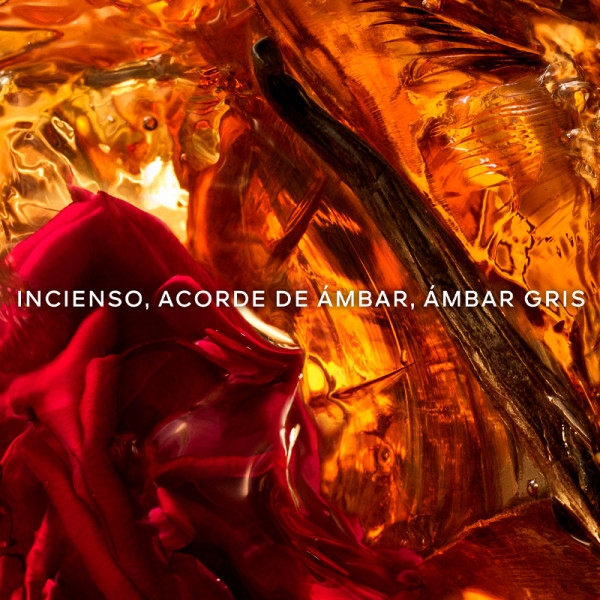 absolus-allegoria-ambre-samar