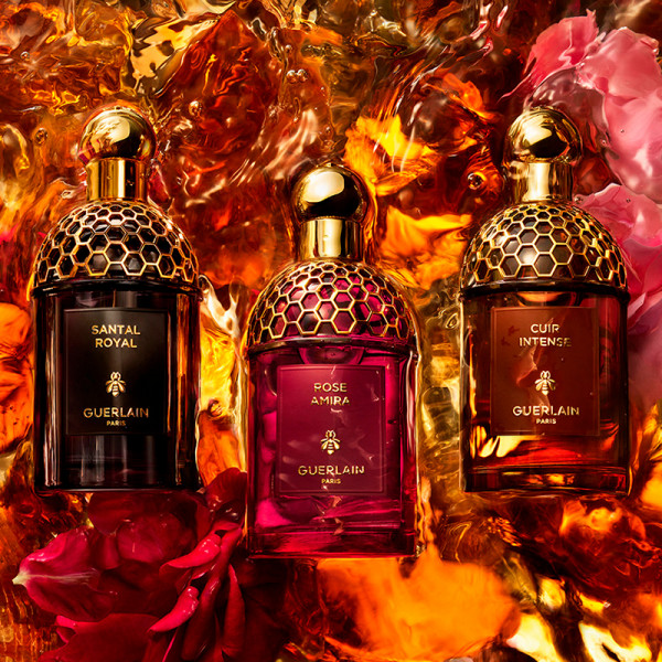 absolus-allegoria-santal-royal