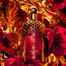 absolus-allegoria-rose-amira