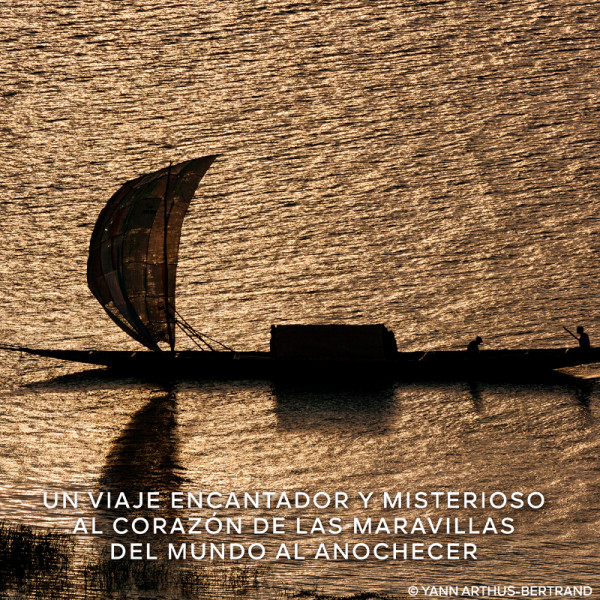 absolus-allegoria-rose-amira