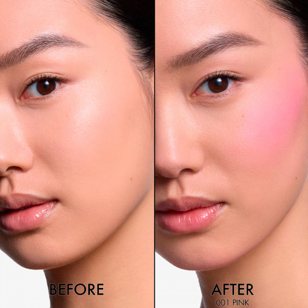 blush-teinte-au-ph-active-longue-tenue