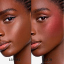 blush-teinte-au-ph-active-longue-tenue
