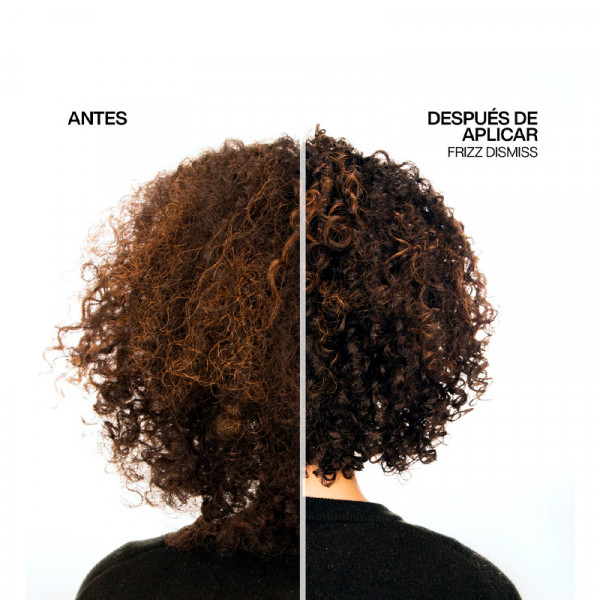 frizz-dismiss-rebel-tame-leave-in-treatment-with-thermal-protection-to-control-frizz