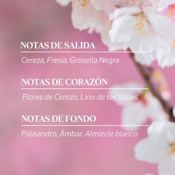flores-de-cerezo