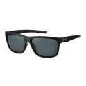 Sunglasses PLD7014/S