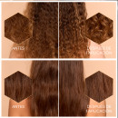 abeille-royale-honey-bond-treatment-tratamiento-sin-aclarado