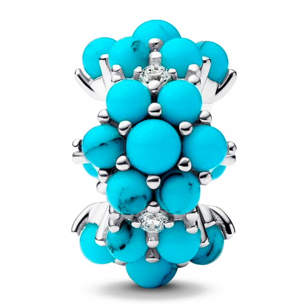 ocean-charm-793897c02