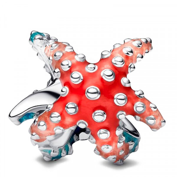 charm-mini-starfish-793817c01