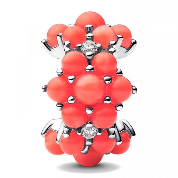 charm-oceano-793897c01