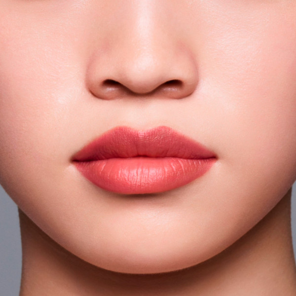 lipliner-ink-duo-lapiz-de-labios-2-en-1