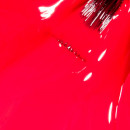 my-chichuahua-bites