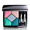 Lidschattenpalette – 5 Lidschatten – Intensive und langanhaltende Farben