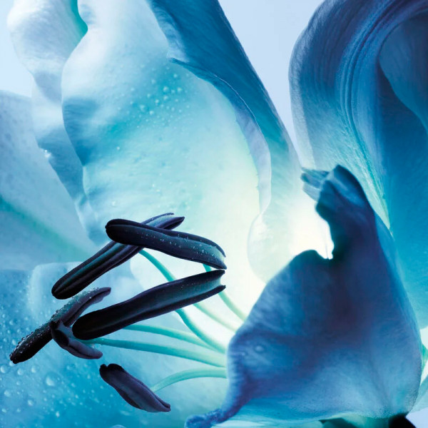 eau-de-cologne-notes-fraiches-et-musquees