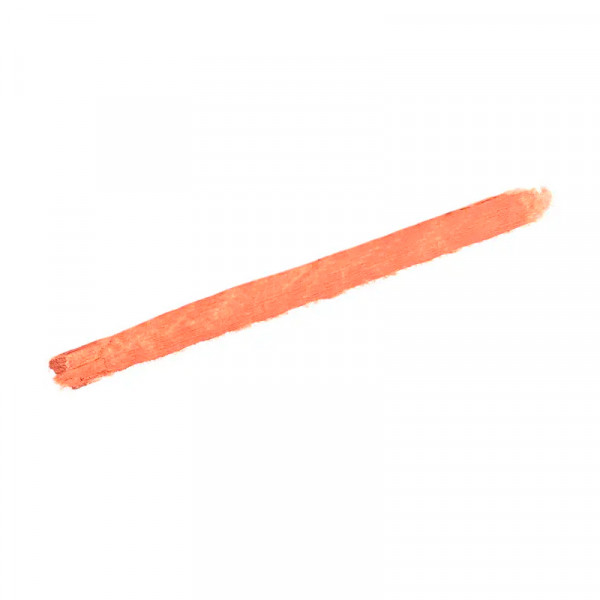 phyto-lip-perfect-perfilador-labial