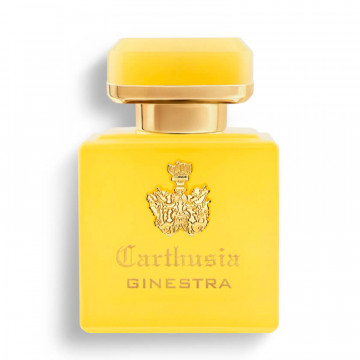 intenso-di-ginestra