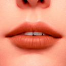 l-absolu-rouge-intimatte-pomadka