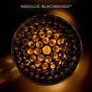 absolue-l-extrait-regenerierende-lotion