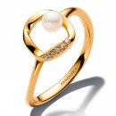 anillo-circulo-en-pave-forma-organica-163831c01