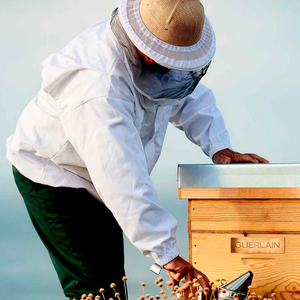 abeille-royale-advanced-youth-watery-traitement-rajeunissant