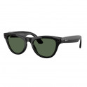 Sunglasses RW4010 Meta Skyler