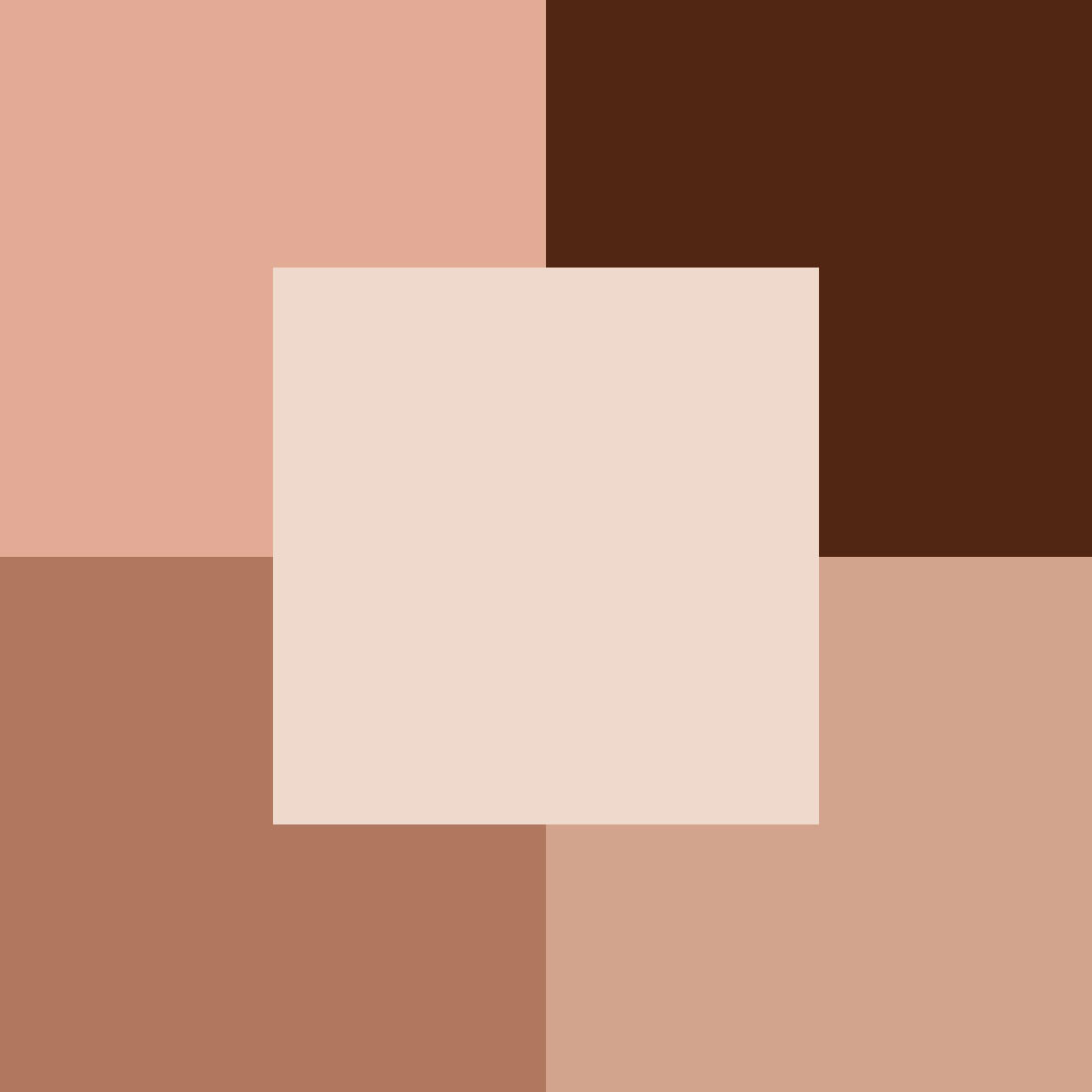 557 BROWN CHACHEMIRE