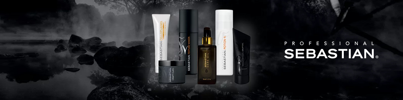 SEBASTIAN PROFESSIONAL